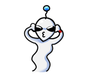 816203309