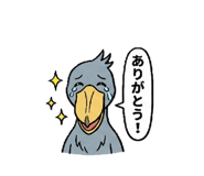 816213662