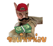 816223840