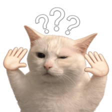 ลายที่ 1