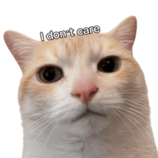 ลายที่ 3