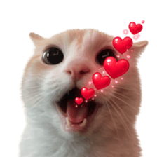 ลายที่ 7