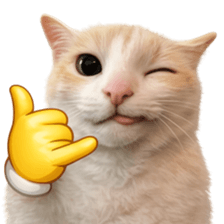 ลายที่ 9