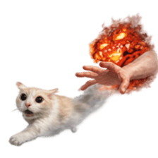 ลายที่ 11