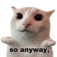 ลายที่ 13