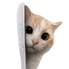 ลายที่ 15