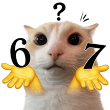 ลายที่ 17