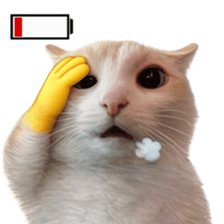 ลายที่ 19