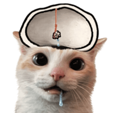 ลายที่ 23