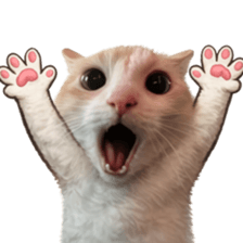 ลายที่ 25