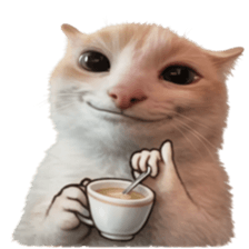 ลายที่ 27