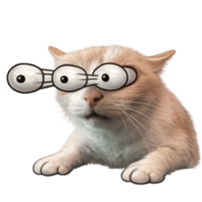 ลายที่ 31