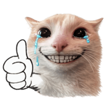 ลายที่ 37