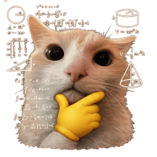 ลายที่ 41