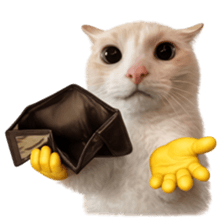 ลายที่ 47