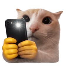 ลายที่ 49