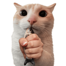 ลายที่ 53