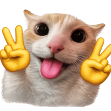 ลายที่ 61