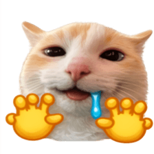 ลายที่ 69