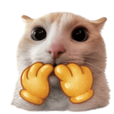 ลายที่ 71