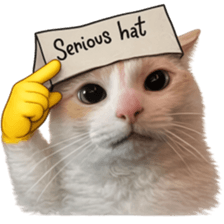 ลายที่ 73