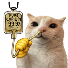 ลายที่ 77