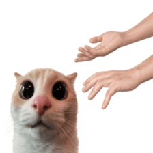 ลายที่ 79