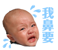 816234560