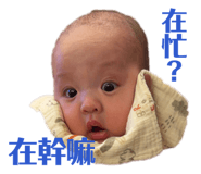 816234575