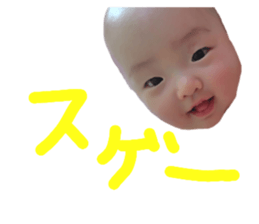816237001