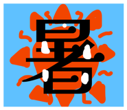 816237262