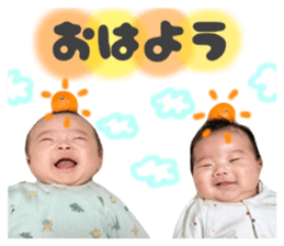 816237273
