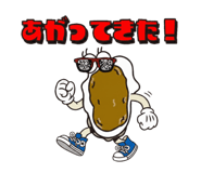 816240255