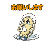 816240262