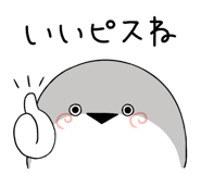 816240538