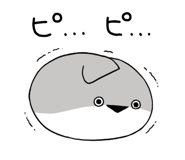 816240544