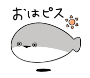 816240545