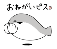 816240554