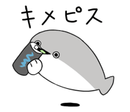 816240562