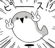 816240566