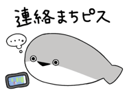 816240571