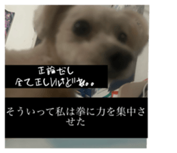 816242877