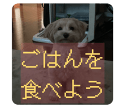 816243340