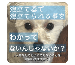 816243352