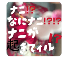 816243358
