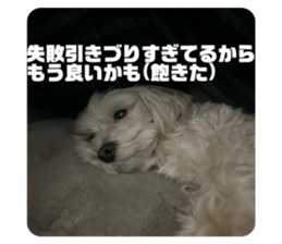 816243366