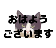 816251385