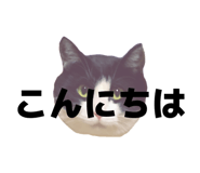 816251386