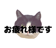 816251388