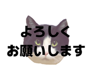 816251390